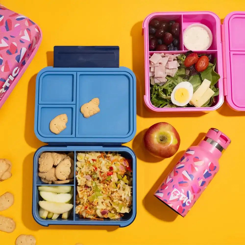 Day Packer Lunch Container